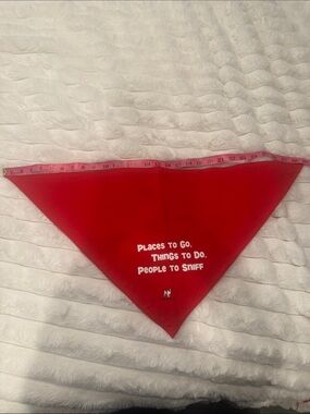 Big Dogs Red Bandana with Dog Logo